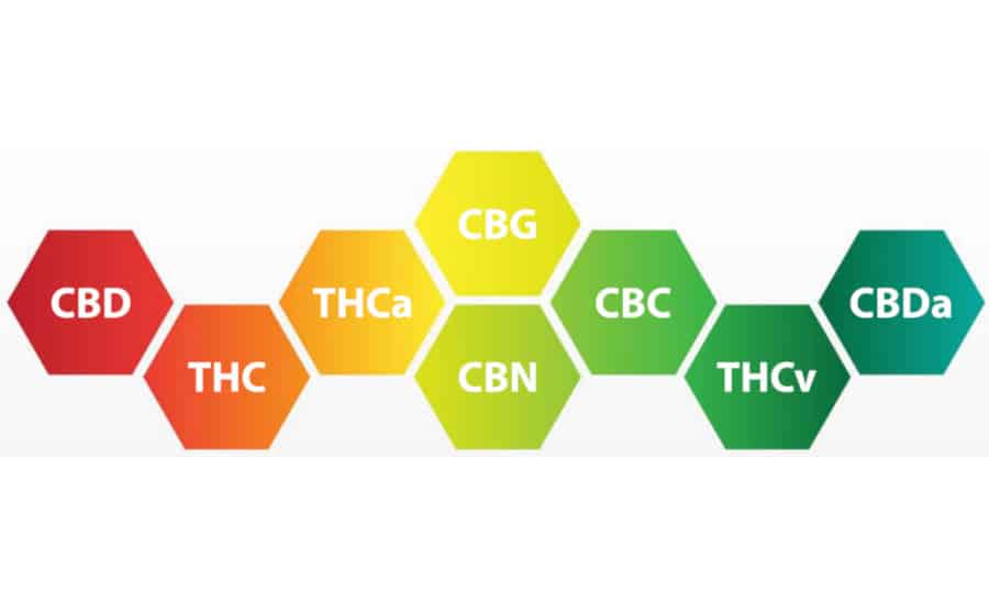 CBD-CBG-CBN-diferencias2