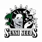 Sensi seeds, banco de semillas y productos de CBD