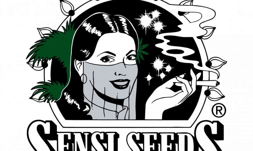 Sensi Seeds, banco de semillas y productos de CBD